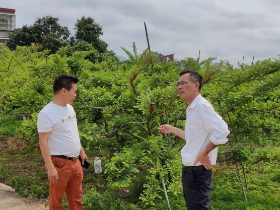 揭阳开放大学到驻镇帮扶挂钩点 马鞍山农场谢家洋村调研乡村振兴工作